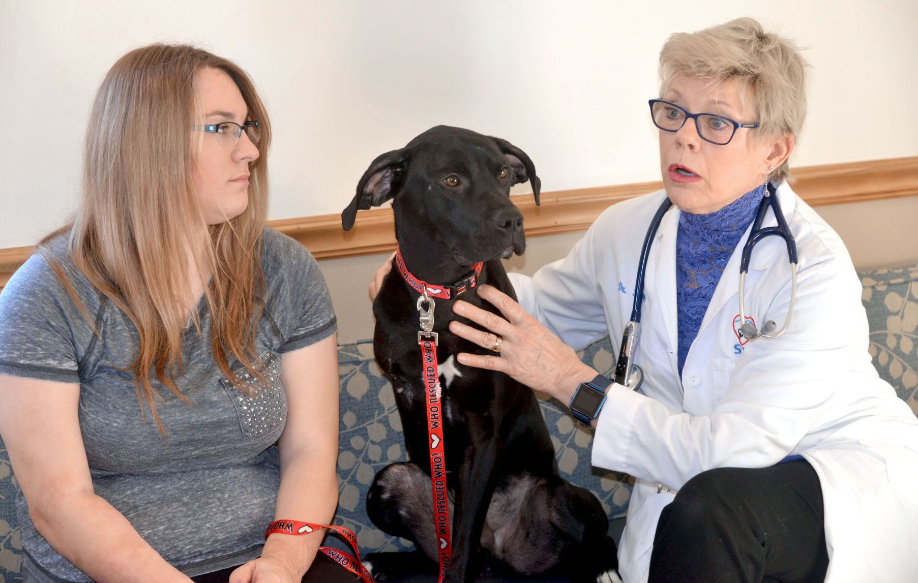BHC 02252018 Kayla and Coal Dog Rescue 02